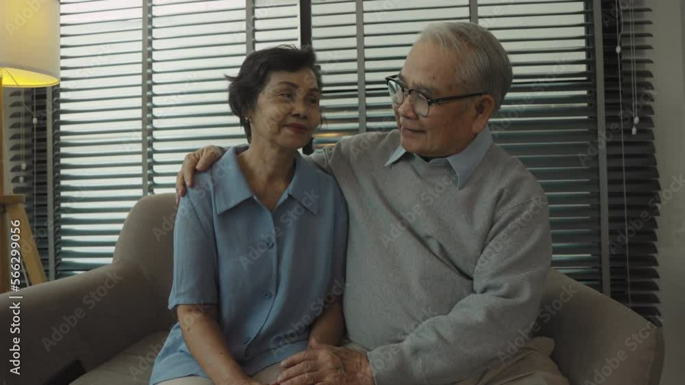 Portrait of retired couple embracing smile and look at camera at home Portrait of retired couple embracing smile and look at camera at home
