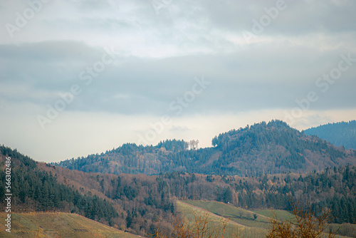 autumn in the mountains and forests