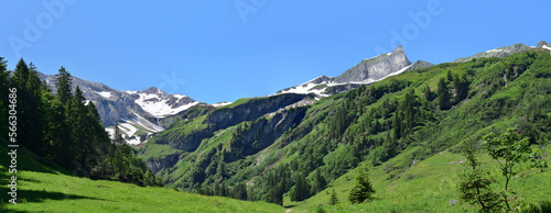 Panoram - Wandern - Weg - im Bärgündeletal - Allgäu - Sommer