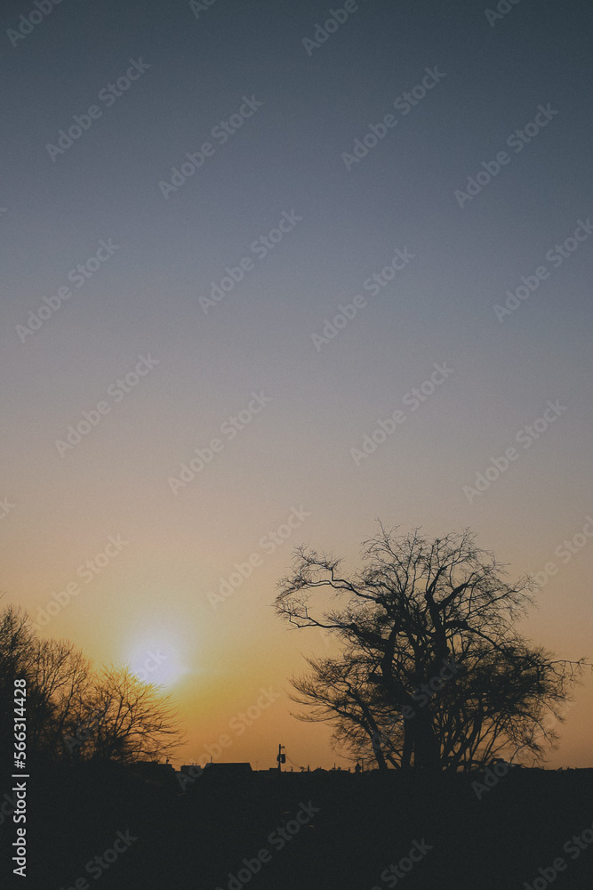 夕焼け 夕焼け