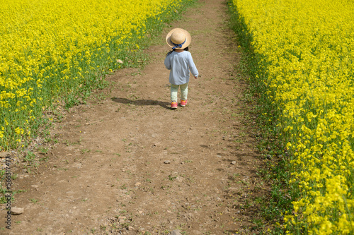 花畑と子供