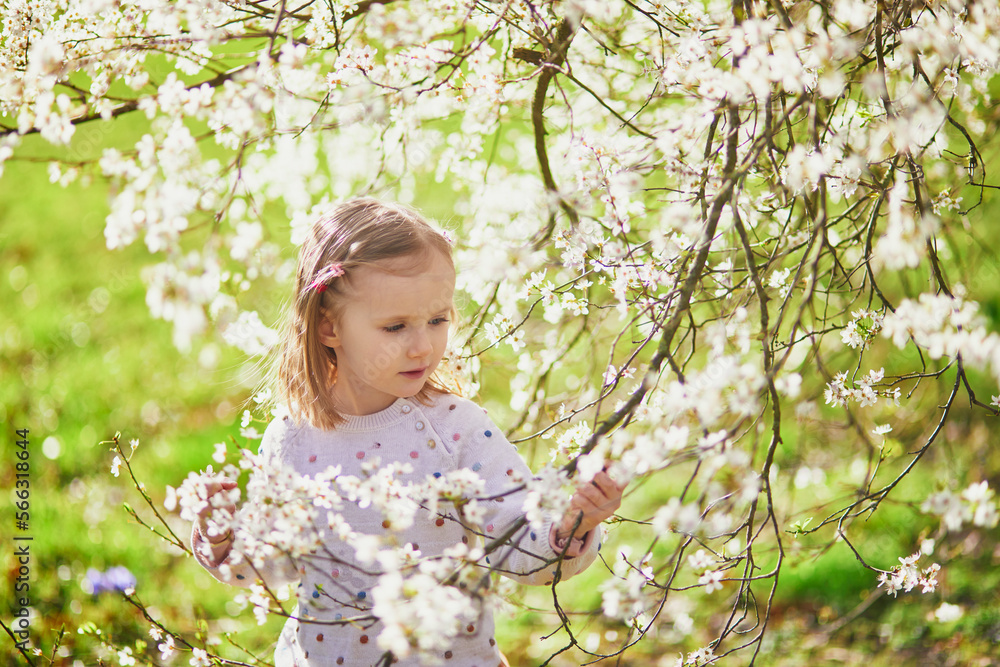 Adorable little girl enjoying nice and sunny spring day near apple tree in full bloom Adorable little girl enjoying nice and sunny spring day near apple tree in full bloom