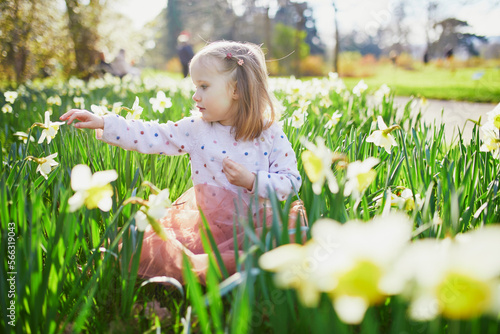 Preschooler girl sitting on the grass with yellow narcissi