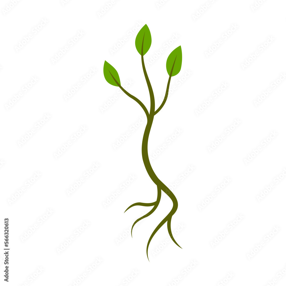 Little sprout growing vector illustration. Green leaves on white background. Nature concept Little sprout growing vector illustration. Green leaves on white background. Nature concept