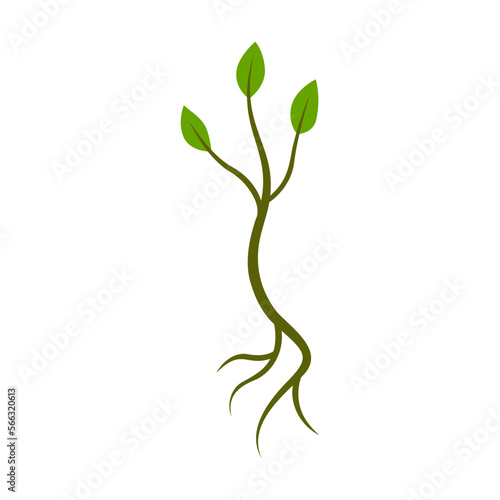 Little sprout growing vector illustration. Green leaves on white background. Nature concept