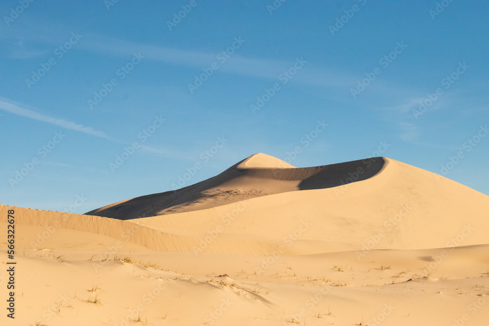 Kelso Sand Dunes in the Mojave Desert, California