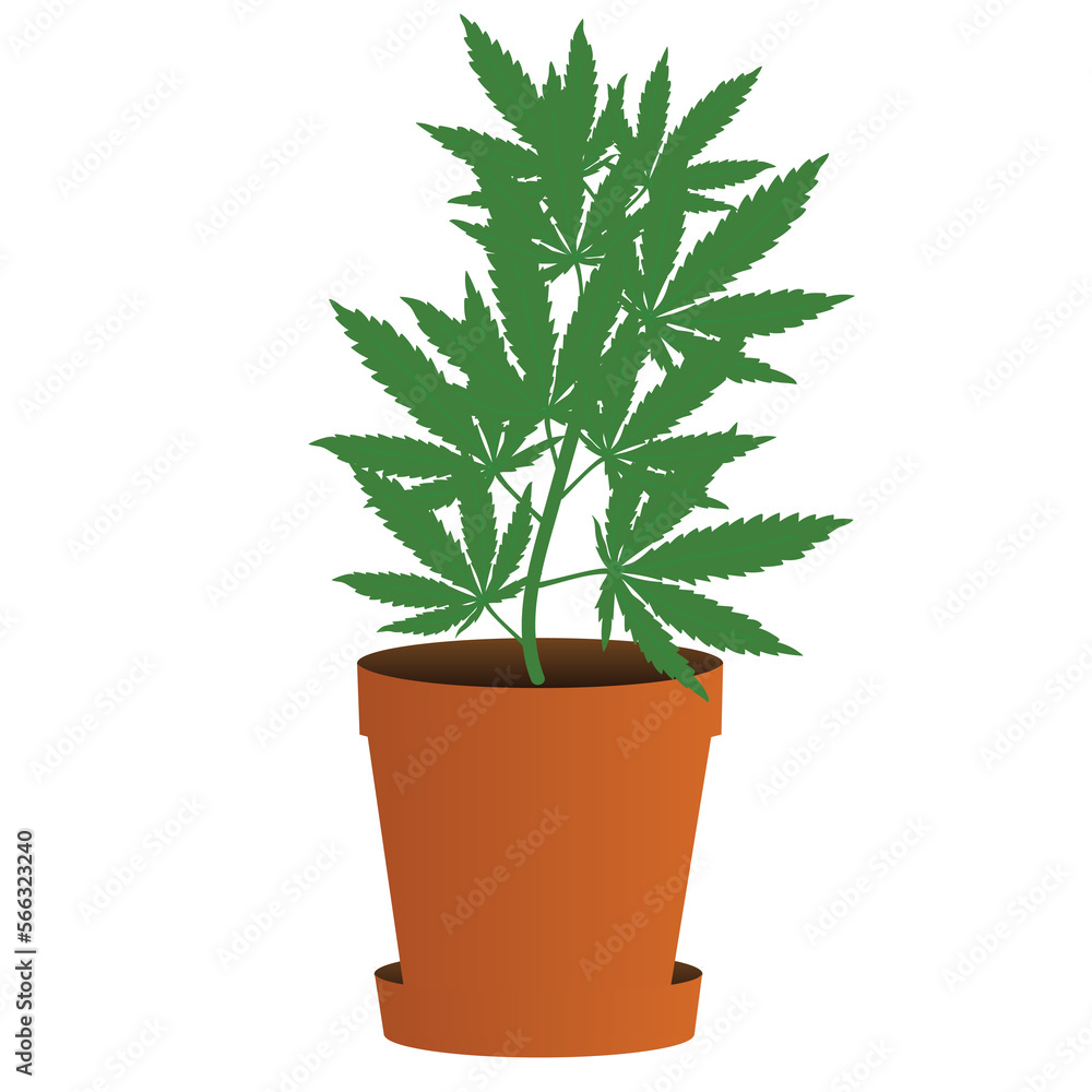 Weed Marijuana Illustration