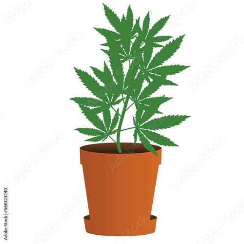 Weed Marijuana Illustration