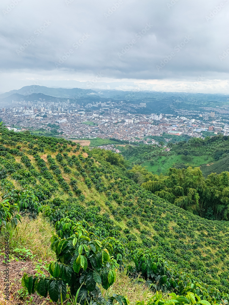 view from the top of a mountain, the city of Pereira-Colombia, Colombian natural landscape in the coffee-growing area of the coffee-growing region.