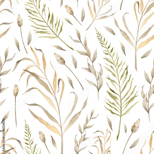 Fototapeta Naklejka Na Ścianę i Meble -  Seamless Pattern with Dried Plants and wild grass on isolated background. Hand drawn botanical illustration in boho style for textile design or wrapping paper. Herbal texture for vintage print