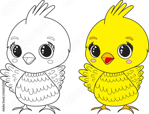 chick for childrens coloring book,character vector