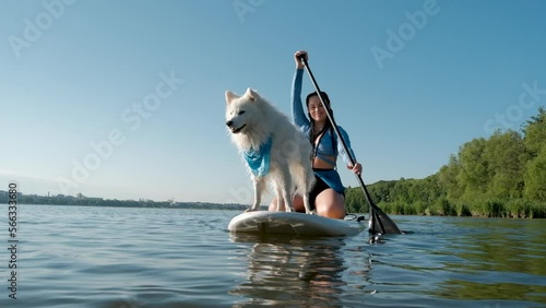 Cheerful Woman Paddleboarding with Her Pet on the City Lake, Snow-White Japanese Spitz Dog Standing on the Sup Board
