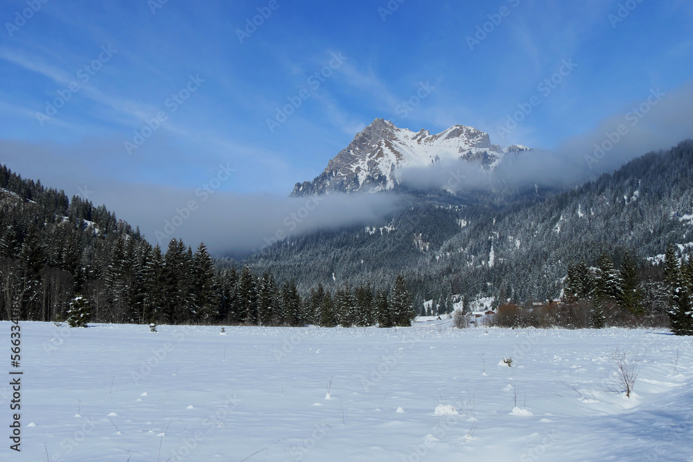 Winter im Tannheimertal mit Blick zum Aggenstein.