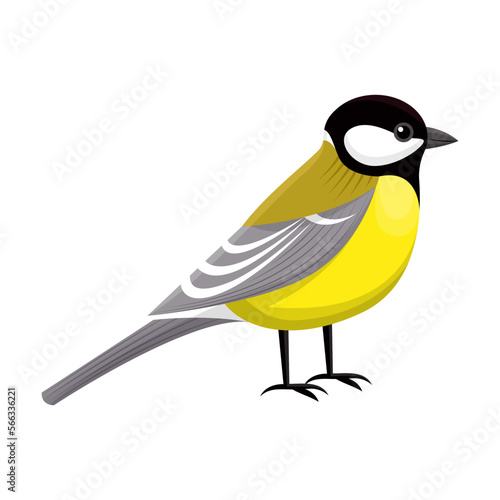 Cute little tit bird. Vector illustration of sitting small animal, side view. Cartoon bird isolated white. Nature, wildlife, fauna concept © Bro Vector