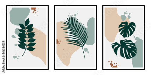 3 botanical posters for the interior. Vector background, tropical leaves, abstract shapes. Home decor, framed wall prints, canvas prints, posters
