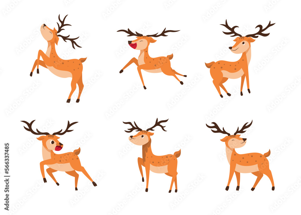 set style of vector deer on a transparent background. Isolated objects, windy illustration.
