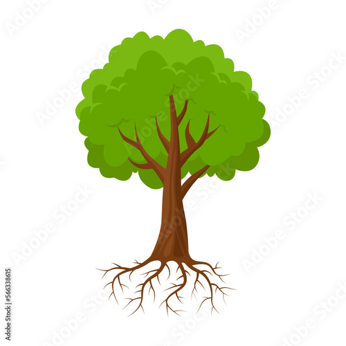 Big tree growing vector illustration. Drawing of tree with green crown of leaves on white background. Nature concept