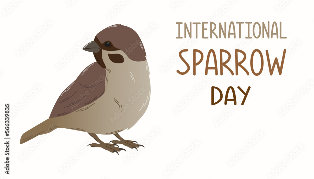Obraz premium International sparrow day. Sparrow on isolated white background with lettering in flat style. For banner, card, poster.