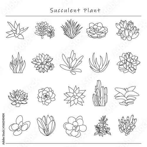 Succulent plant. Icon set vector illustration 