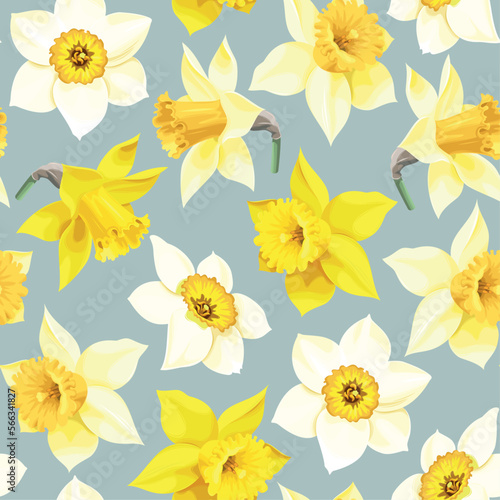 White and yellow daffodils vector seamless pattern