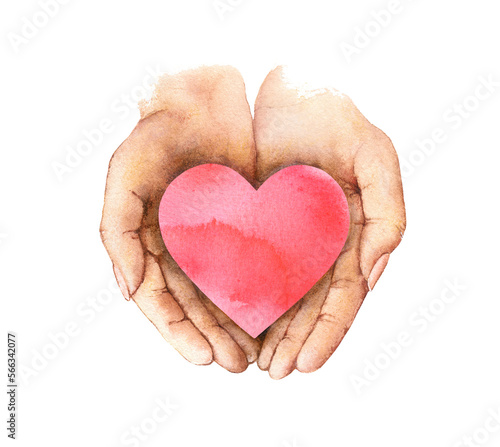 Charity concept with cupped hands showing and sharing heart. Love and support symbol. Isolated on white waterolor  photo