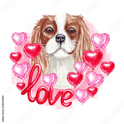 Valentines day Cavalier King Charles Spaniel dog with love and hearts. Cute puppy illustration for dog lovers.