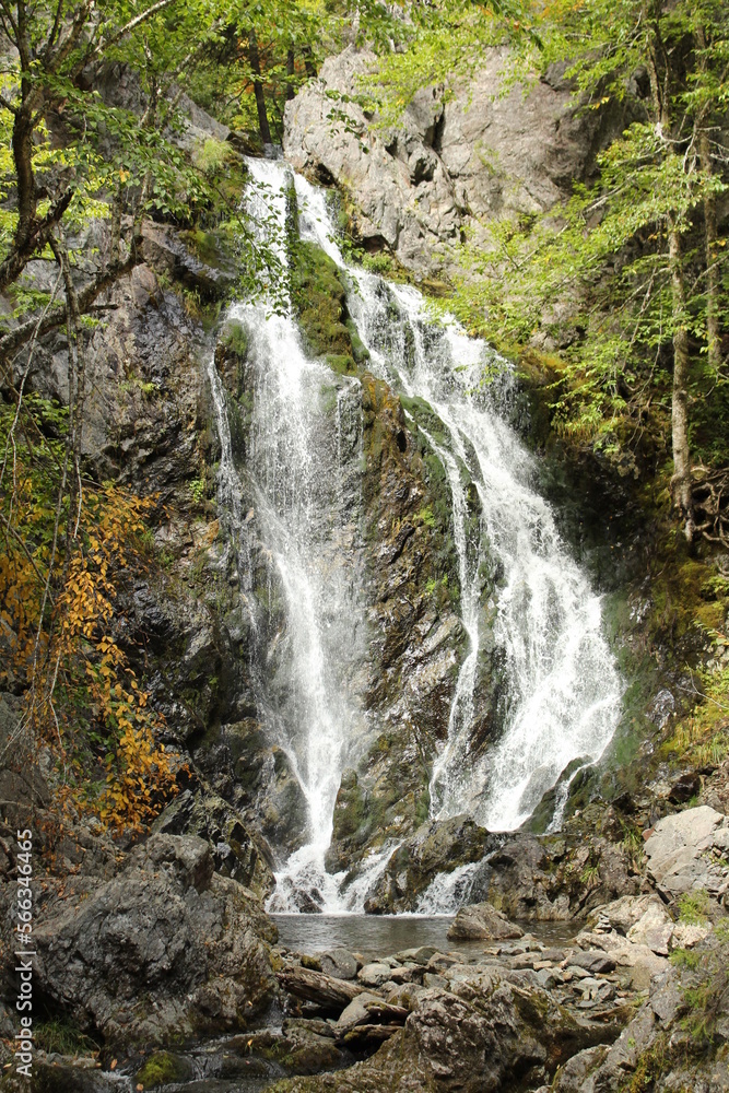 waterfall in the forest waterfall in the forest
