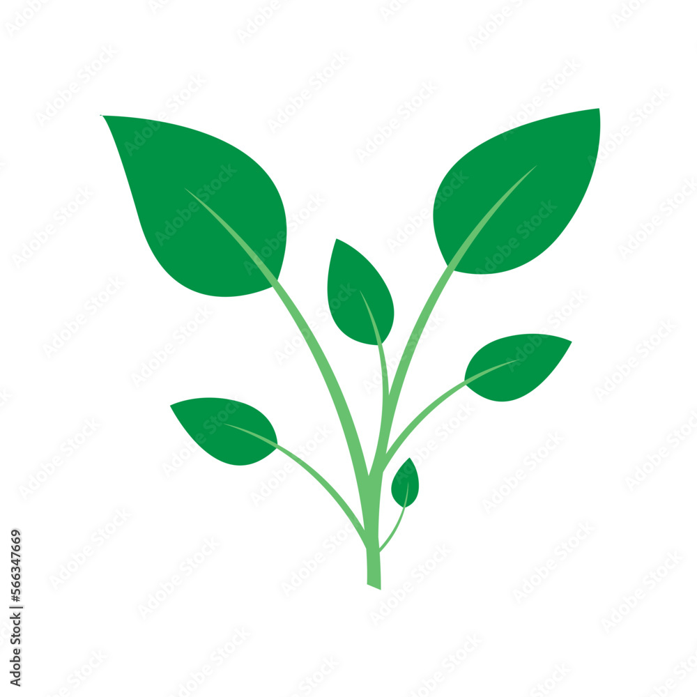 simple green leaves