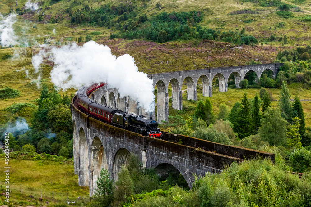 Naklejka premium Steam train in Fort William