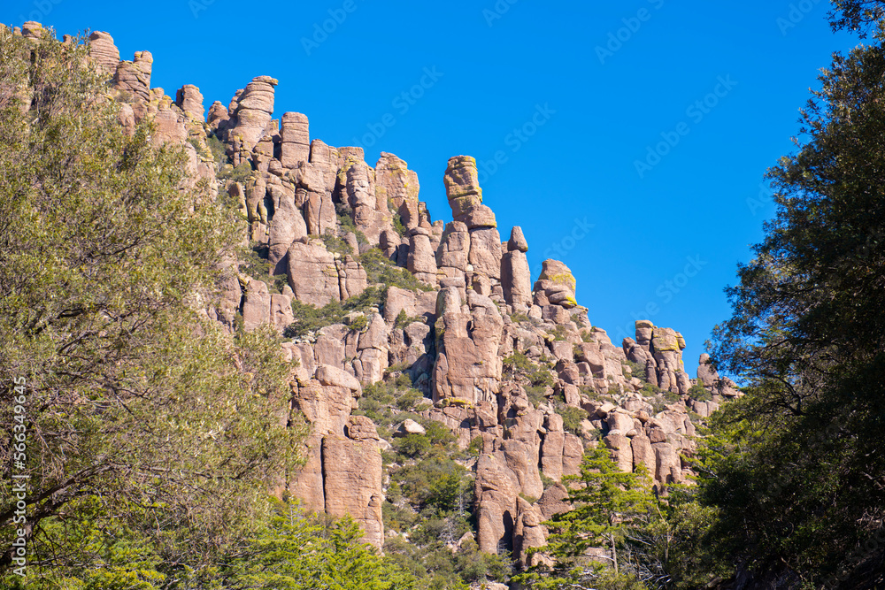 Stone columns aka hoodoos at Sea Captain Rock Formation in Chiricahua National Monument in Cochise County in Arizona AZ, USA. 