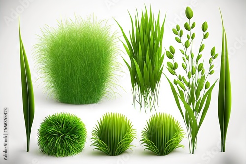  a collection of grass and plants on a white background with a white background and a white background with a green grass and plants on a white background.  generative ai