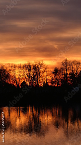 Various sunsets. Occasional birds.