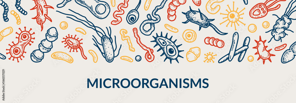 Microbiology banner. Collection of different types of microorganisms ...