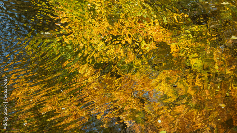 Reflection in water. Autumn trees. Fall mood