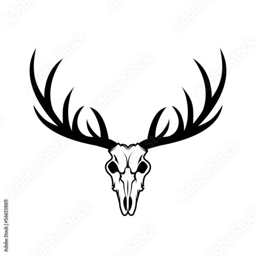 Deer skull head. Vector illustration on white background