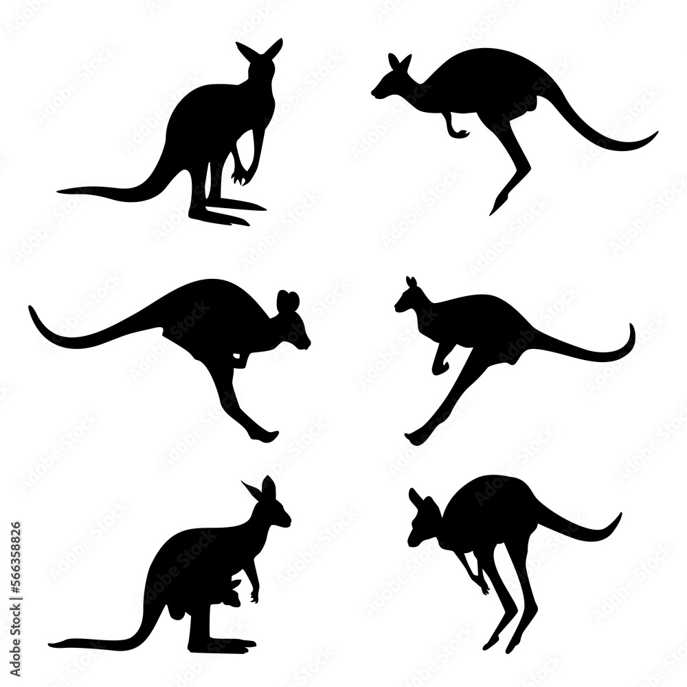 Set of kangaroo silhouettes in various poses. Vector iIlustration isolated on the white background