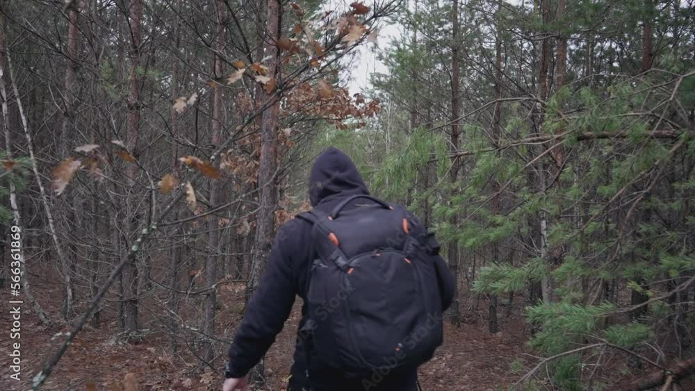 custom made wallpaper toronto digitalMan making his way through the forest