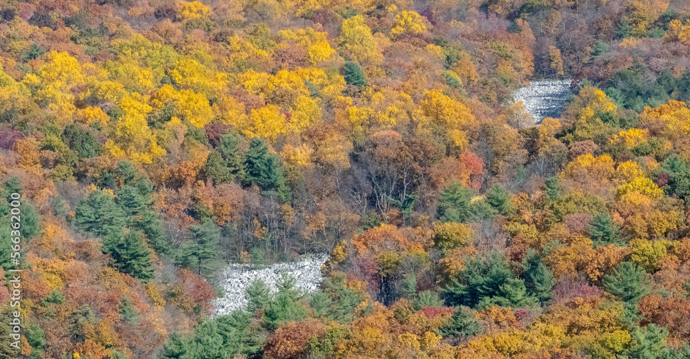 Autumn foliage from top of mountain 