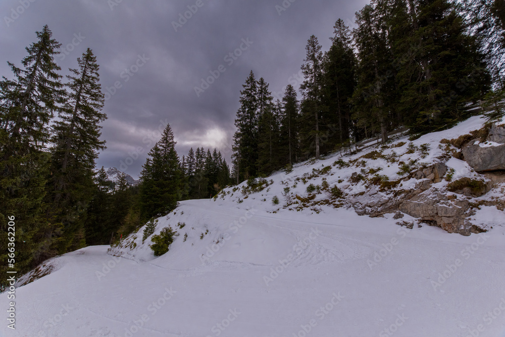 Winter Wonderland: Serene Alpine Path through Snowy Forest in Ehrwald, Tyrol, Austria