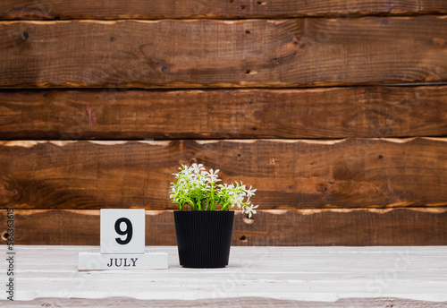 July calendar with number  9. Planner copy space on a wooden brown background. March number icon. Place for text background calendar photo