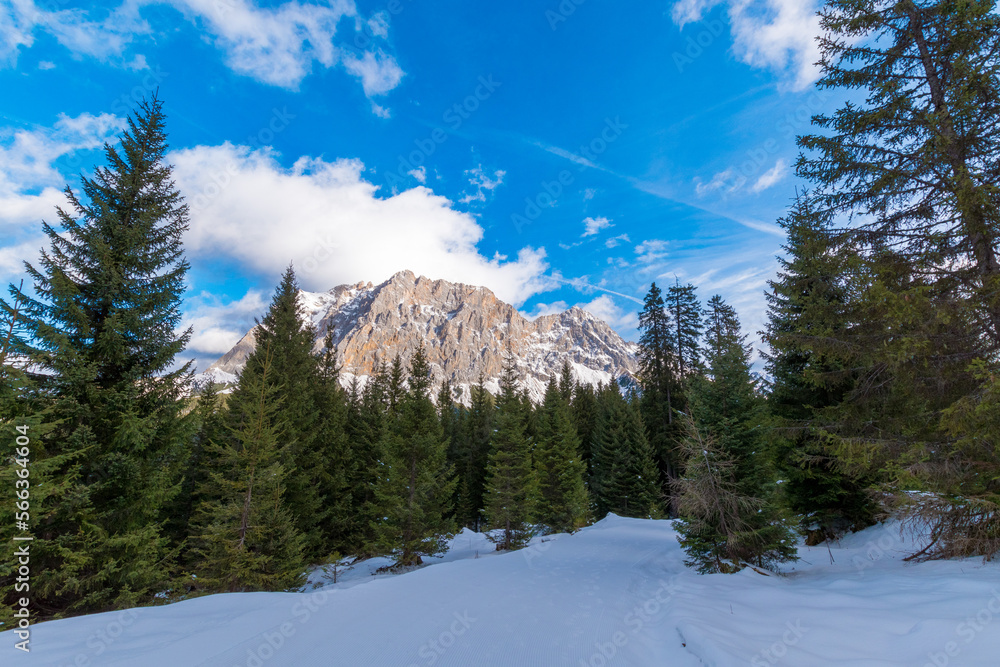 Enchanted Winter Trail: Sunlit Journey through the Forest with a Majestic View of Zugspitze Massif