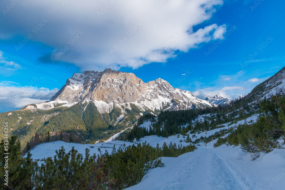 Enchanted Winter Trail: Sunlit Journey through the Forest with a Majestic View of Zugspitze Massif