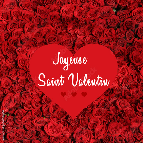 Happy Valentine's Day written in french in white calligraphy font in a big red heart on a background of red roses - "Joyeuse Saint-Valentin" means "Happy Valentine's Day"