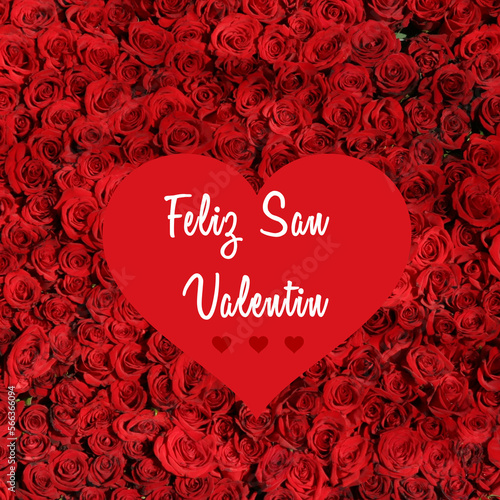 Happy Valentine's Day written in spanish in white calligraphy font in a big red heart on a background of red roses - "Feliz San Valentin" means "Happy Valentine's Day"