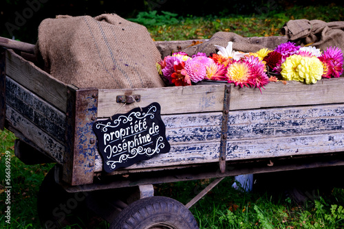 Le cart de Josephine