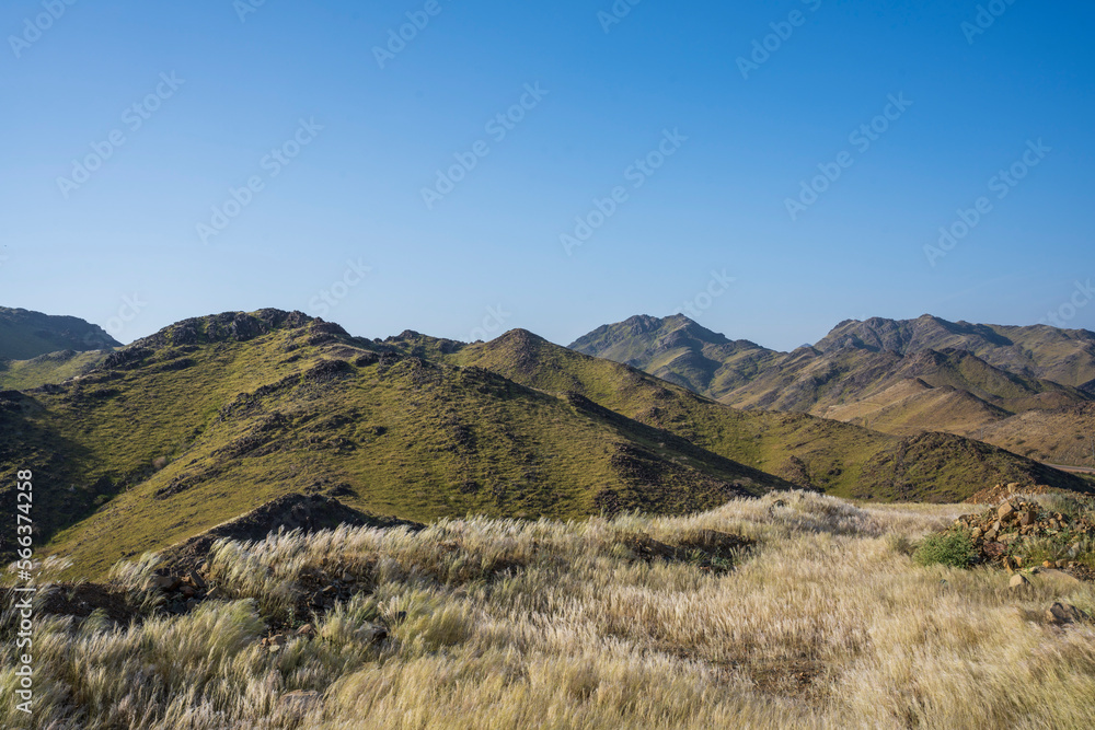 after rain green mountains in saudi arabia landscapes after rain green mountains in saudi arabia landscapes