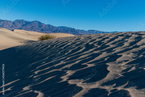 Mesquite Flats Sand Dunes in Death Valley National Park  California