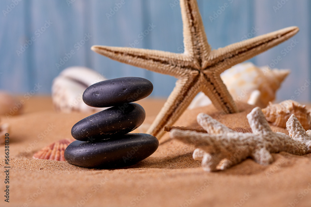 Summer time concept Flat lay composition with beautiful starfish and sea shells Summer time concept Flat lay composition with beautiful starfish and sea shells
