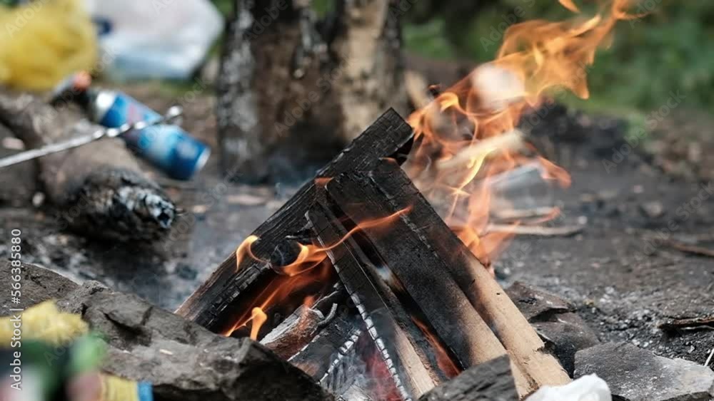 Rest in the mountains picnic meat and campfire Rest in the mountains picnic meat and campfire