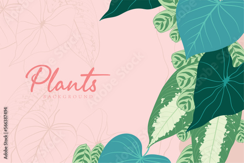 Horizontal colored foliage background with different leaves Vector illustration